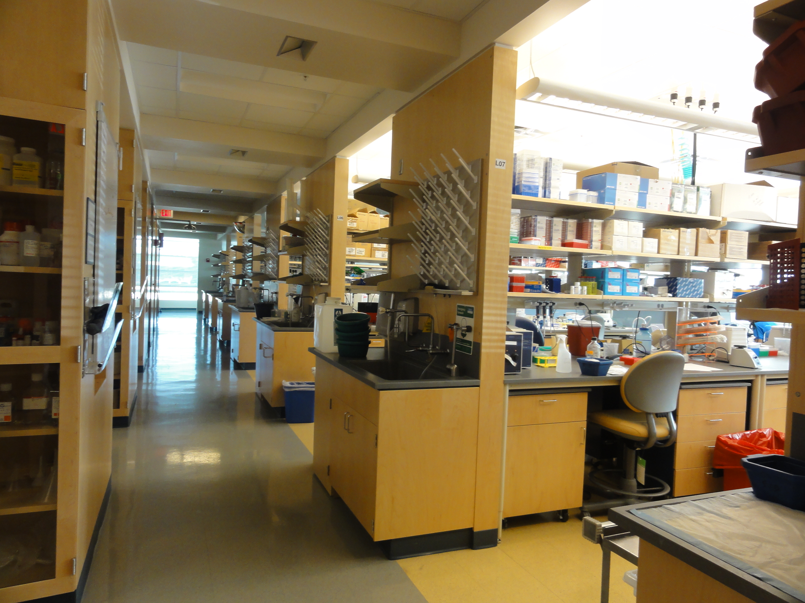 Facility / Lab