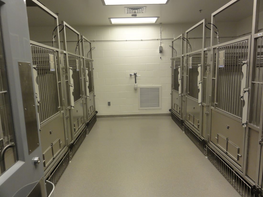 Facility / Lab