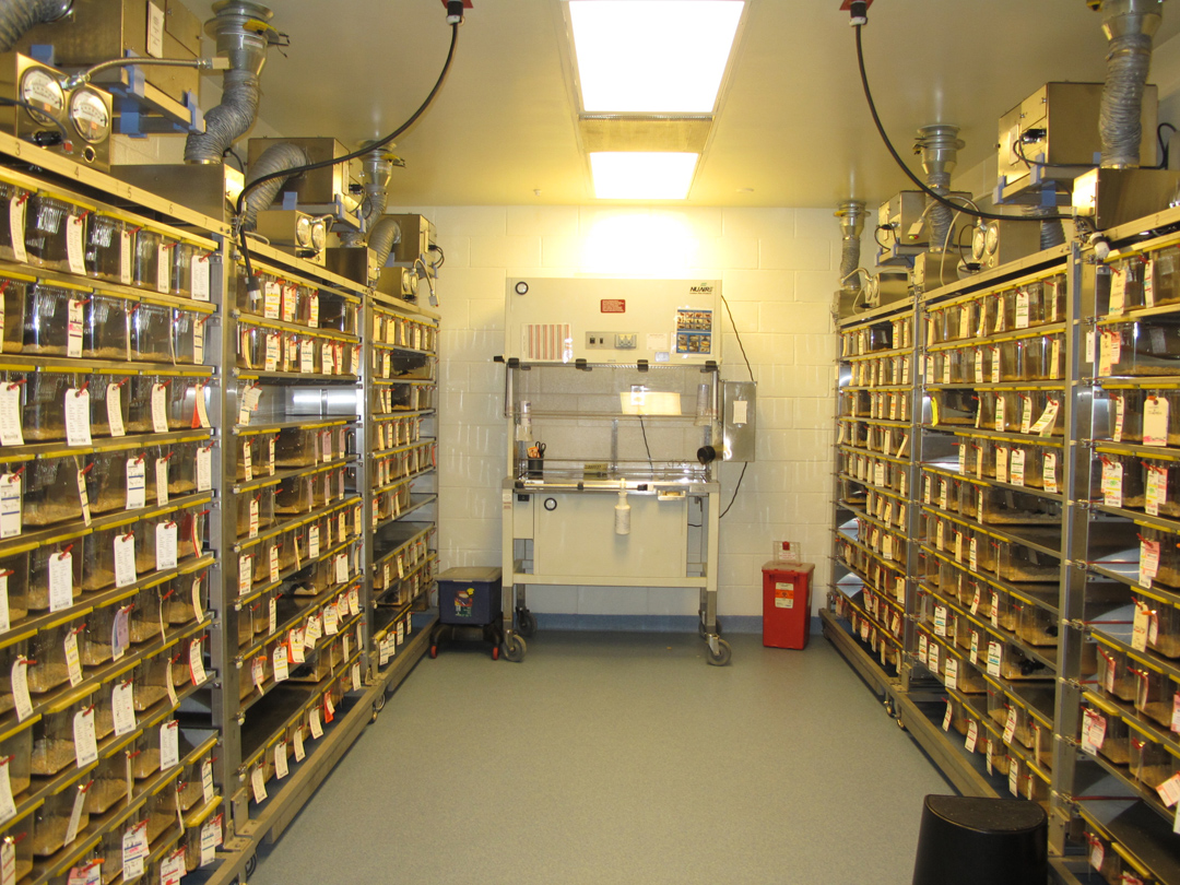 Facility / Lab
