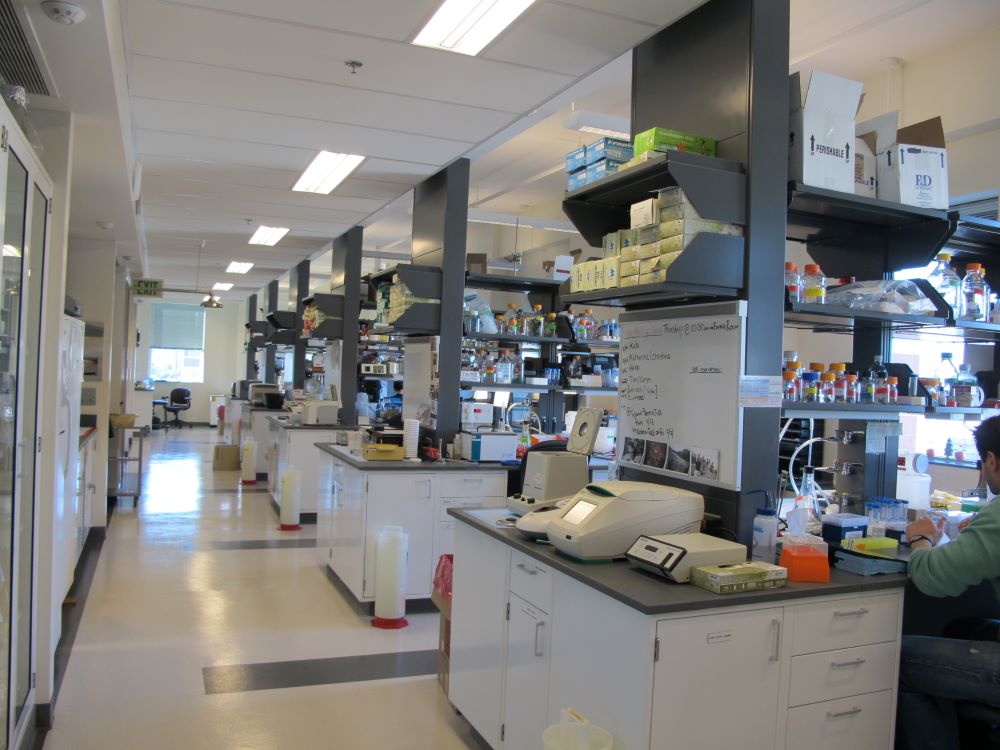 Facility / Lab