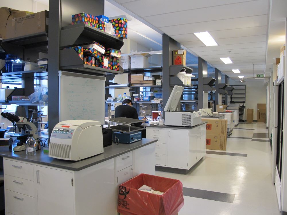 Facility / Lab