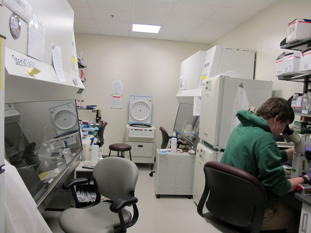 Facility / Lab