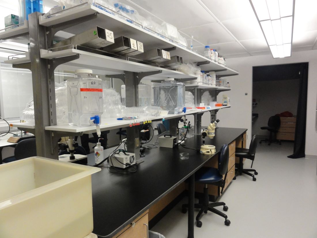 Facility / Lab