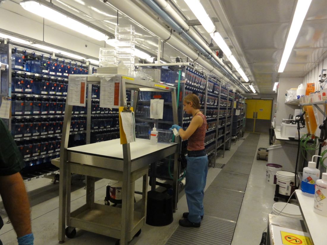 Facility / Lab