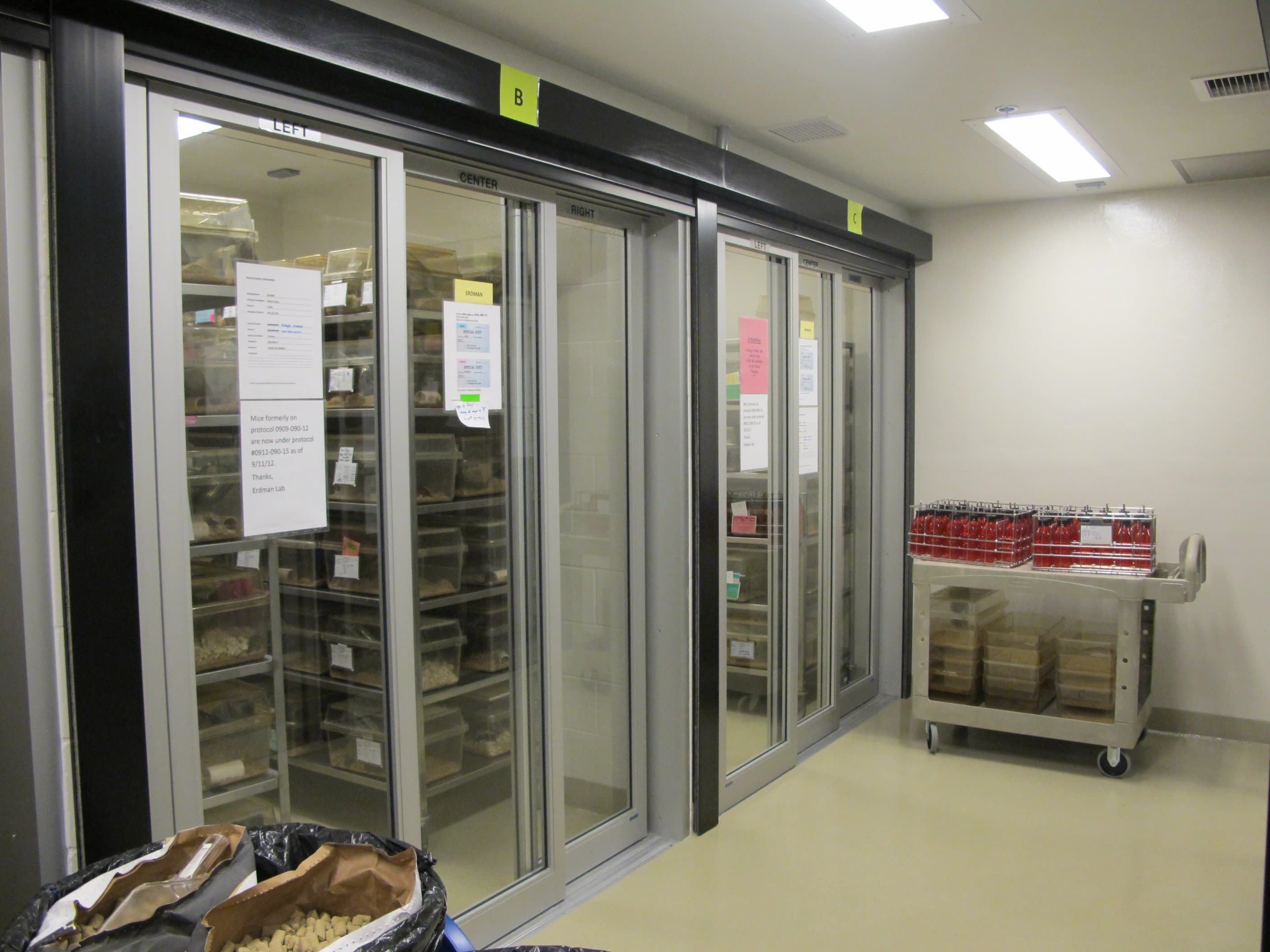 Facility / Lab
