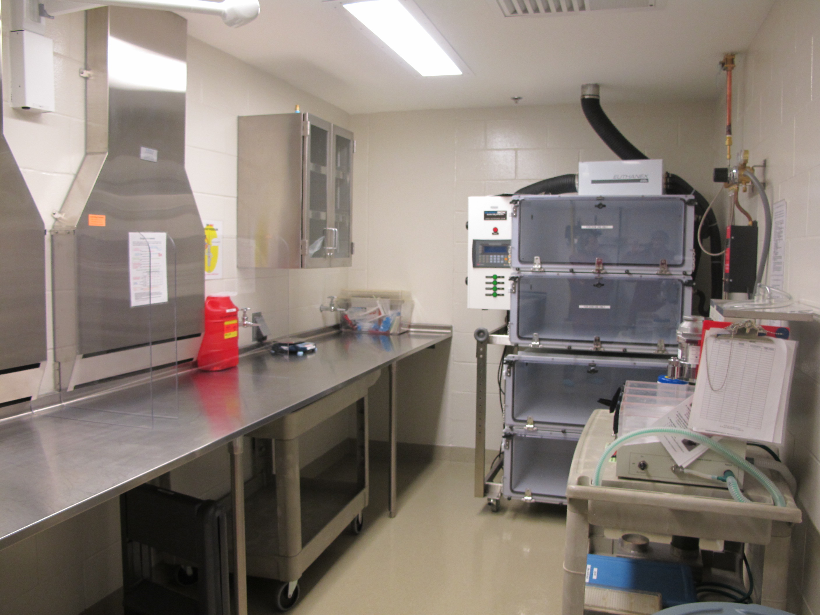Facility / Lab