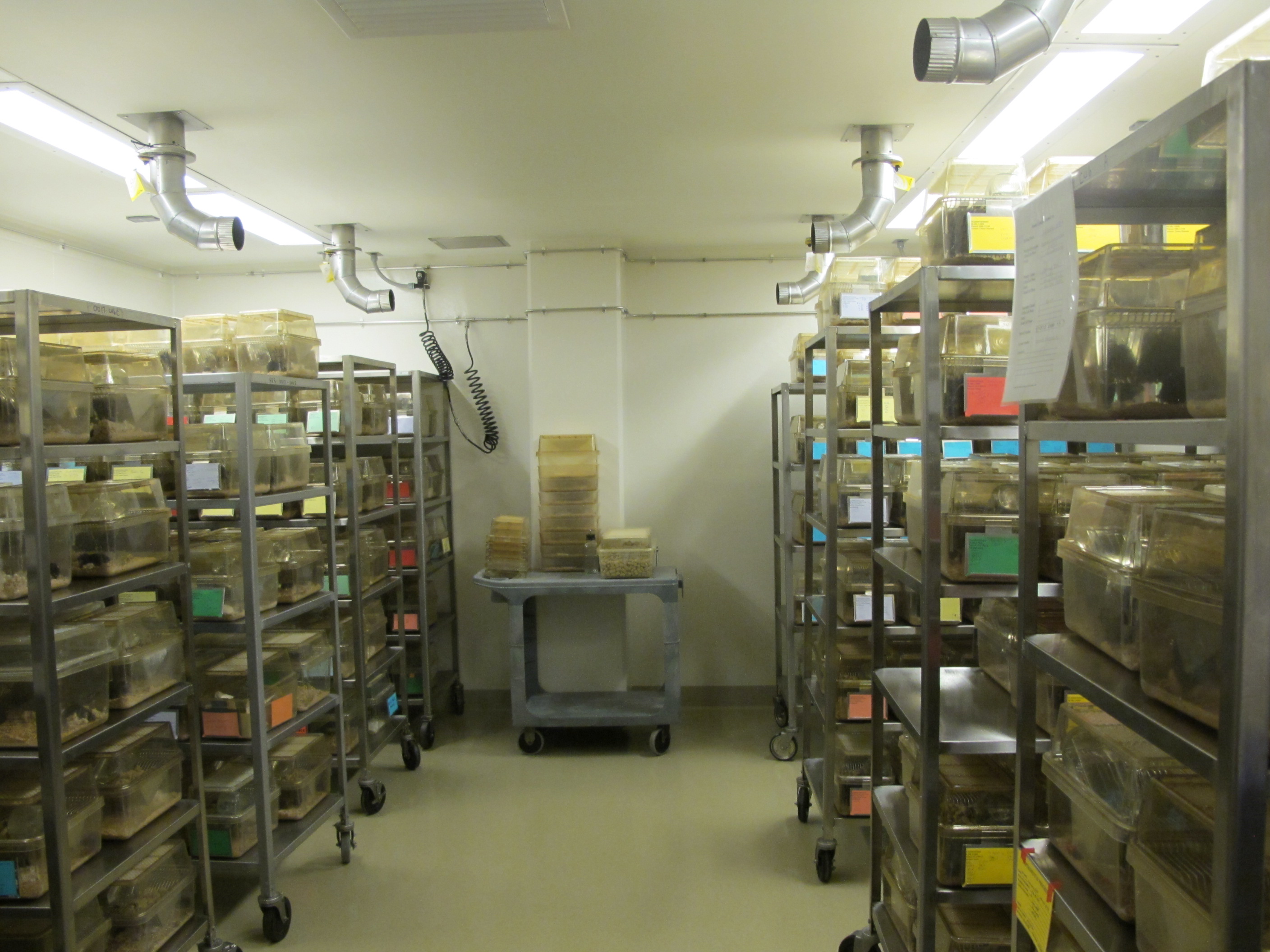 Facility / Lab