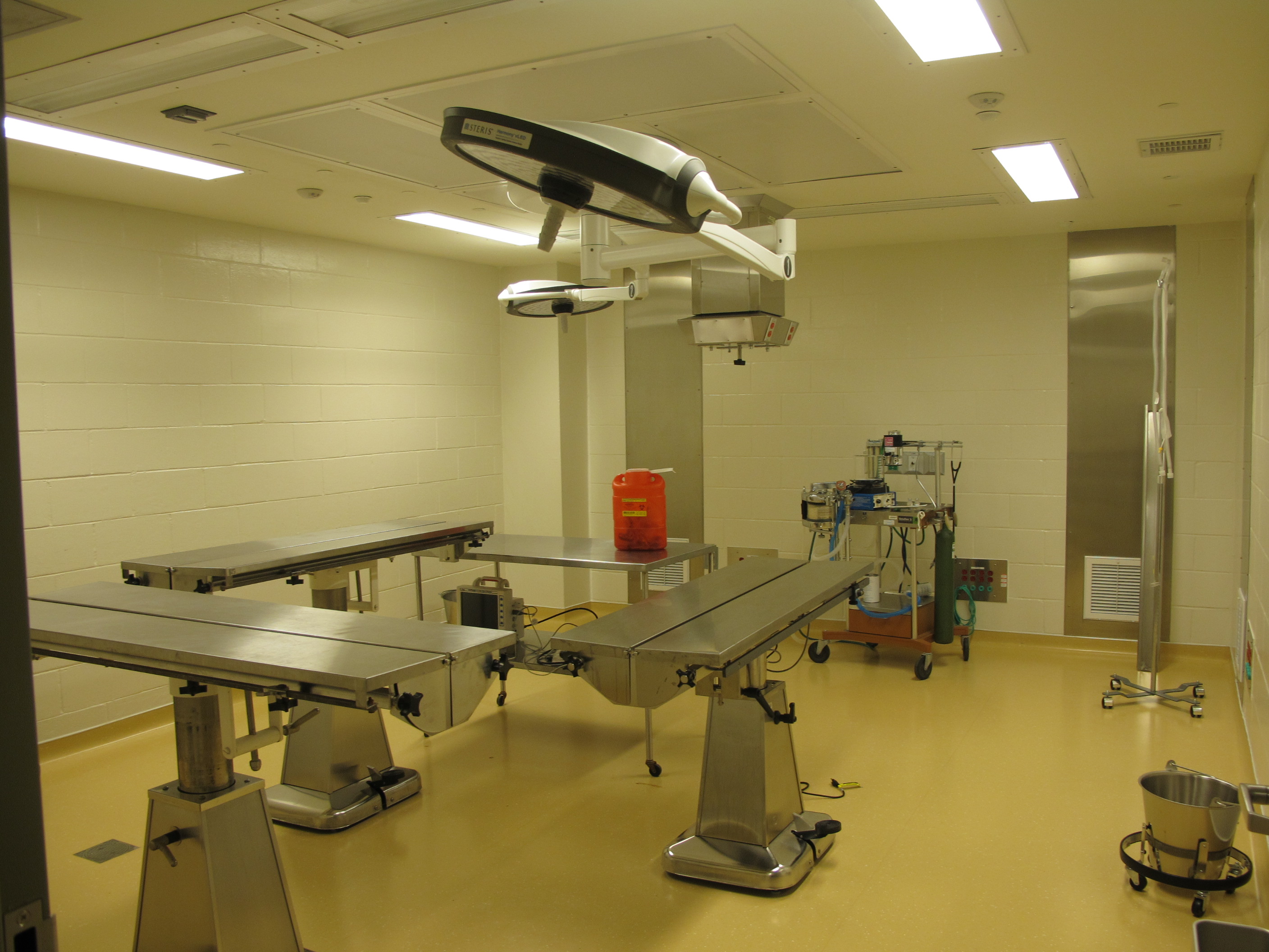 Facility / Lab