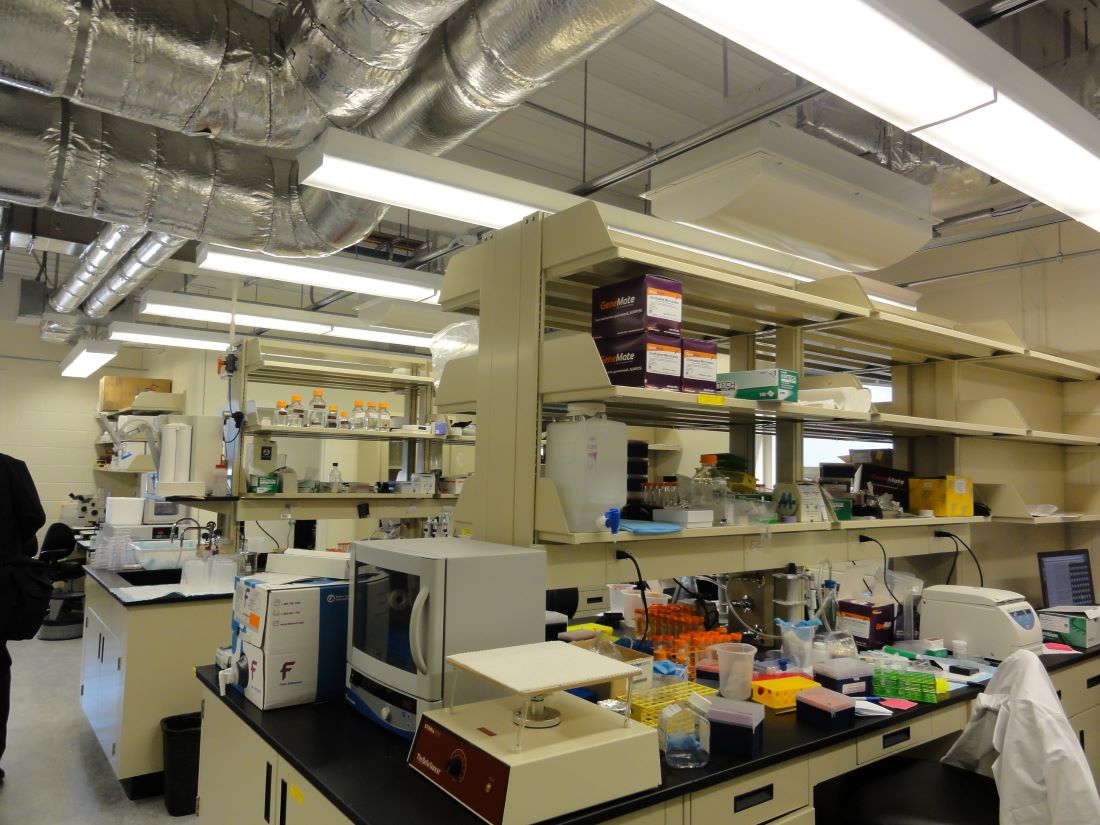 Facility / Lab