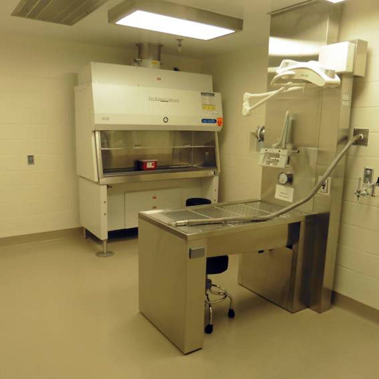 Facility / Lab