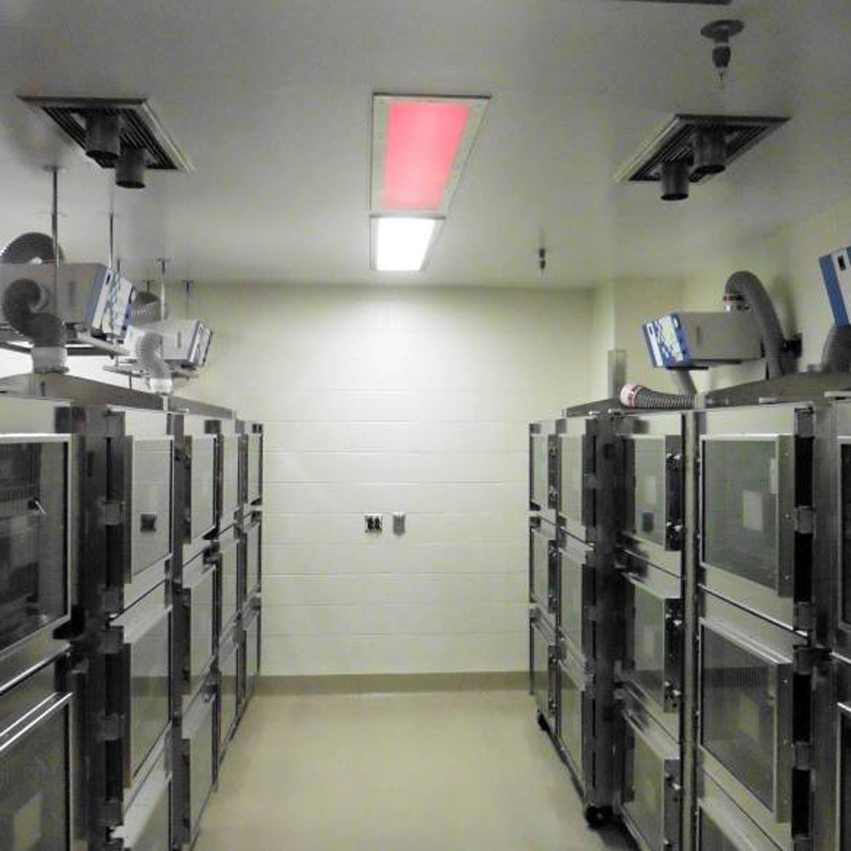 Facility / Lab