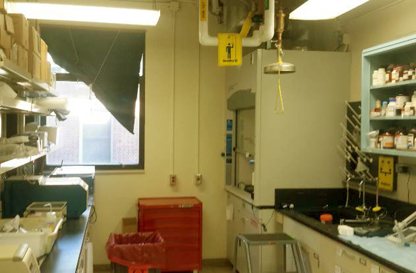 Facility / Lab