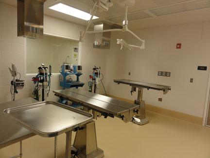 Facility / Lab
