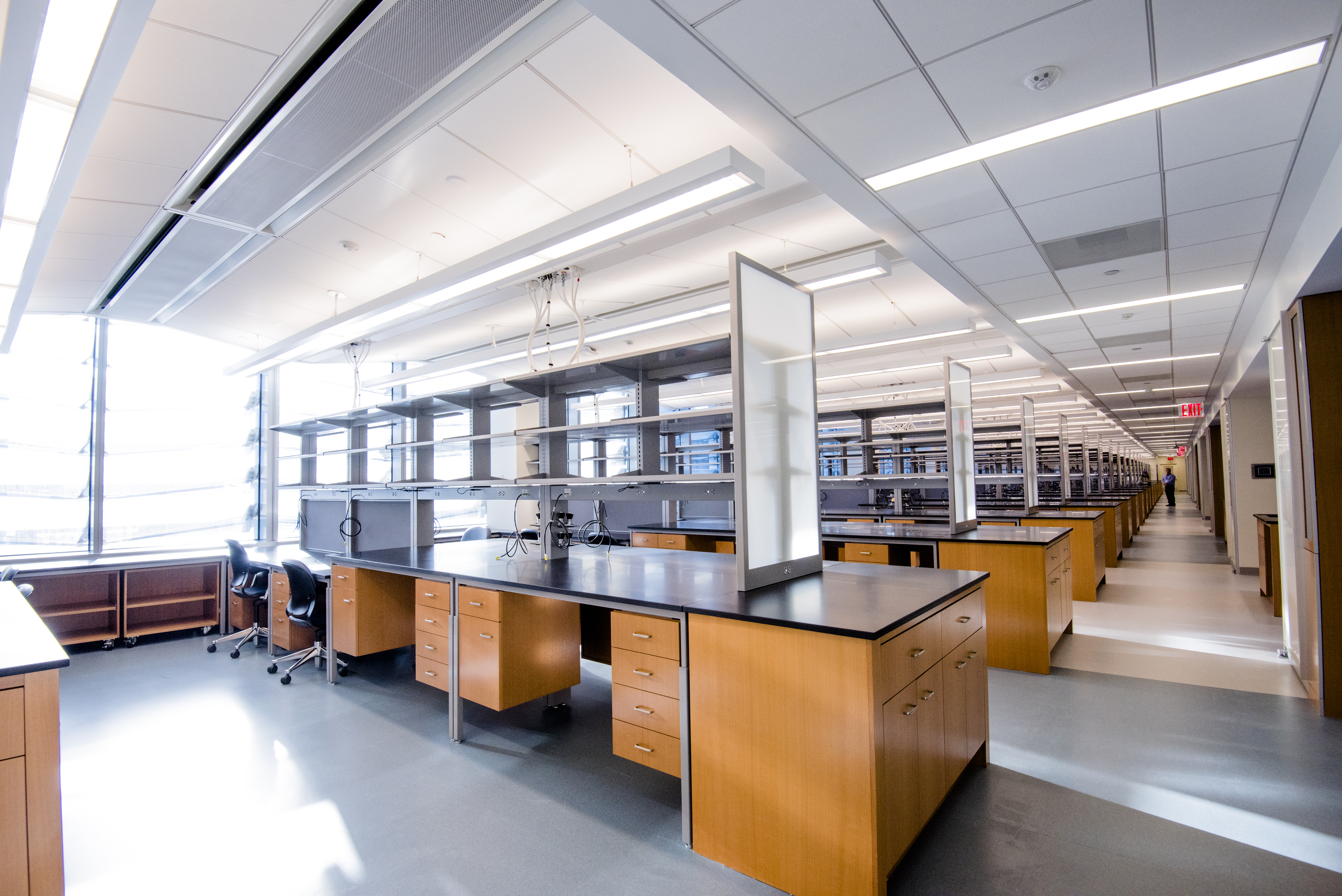 Laboratories in NYU Langone Health’s Science Building. See caption for details.